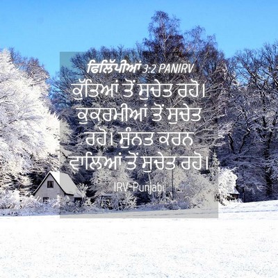 Picture 04 - ਫਿਲਿੱਪੀਆਂ 3:2 PANIRV - ਕੁੱਤਿਆਂ ਤੋਂ ਸੁਚੇਤ - Bible Verse Picture