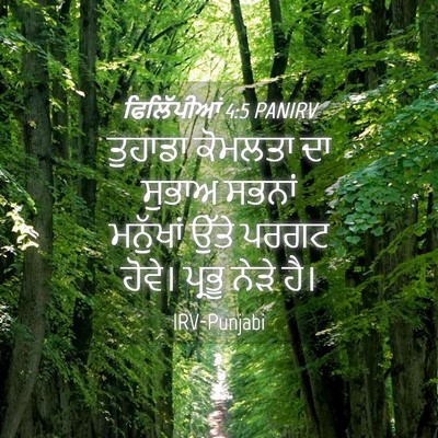 Picture 04 - ਫਿਲਿੱਪੀਆਂ 4:5 PANIRV - ਤੁਹਾਡਾ ਕੋਮਲਤਾ ਦਾ - Bible Verse Picture