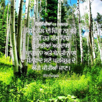 Picture 04 - ਫਿਲਿੱਪੀਆਂ 4:6 PANIRV - ਕਿਸੇ ਗੱਲ ਦੀ ਚਿੰਤਾ - Bible Verse Picture