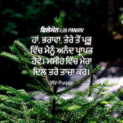 Picture 04 - ਫਿਲੇਮੋਨ 1:20 PANIRV - ਹਾਂ, ਭਰਾਵਾ, ਤੇਰੇ - Bible Verse Picture