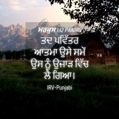 Picture 04 - ਮਰਕੁਸ 1:12 PANIRV - ਤਦ ਪਵਿੱਤਰ ਆਤਮਾ ਉਸੇ - Bible Verse Picture