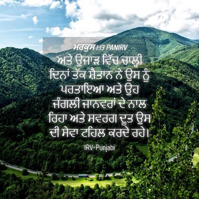 Picture 04 - ਮਰਕੁਸ 1:13 PANIRV - ਅਤੇ ਉਜਾੜ ਵਿੱਚ - Bible Verse Picture