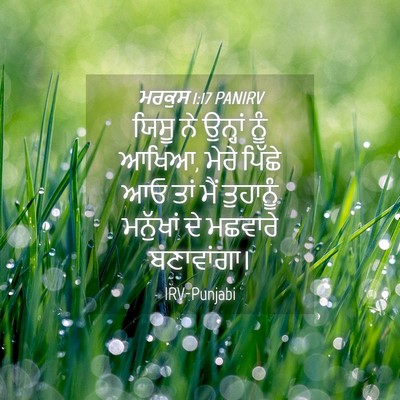 Picture 04 - ਮਰਕੁਸ 1:17 PANIRV - ਯਿਸੂ ਨੇ ਉਨ੍ਹਾਂ ਨੂੰ - Bible Verse Picture