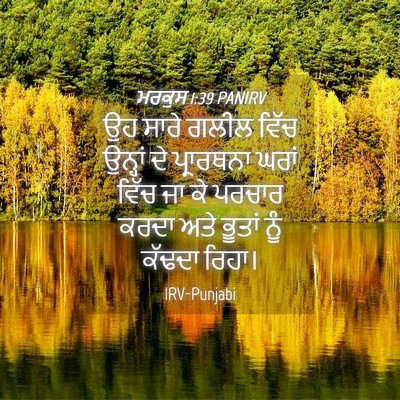 Picture 04 - ਮਰਕੁਸ 1:39 PANIRV - ਉਹ ਸਾਰੇ ਗਲੀਲ ਵਿੱਚ - Bible Verse Picture