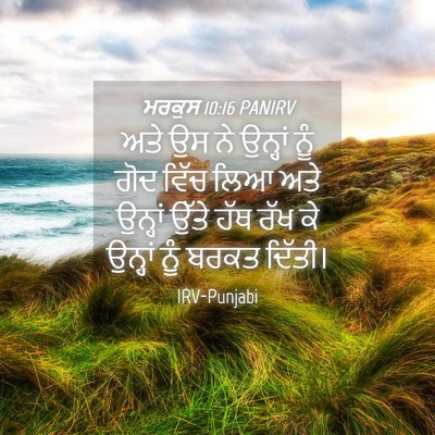 Picture 04 - ਮਰਕੁਸ 10:16 PANIRV - ਅਤੇ ਉਸ ਨੇ ਉਨ੍ਹਾਂ - Bible Verse Picture