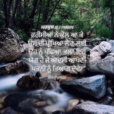 Picture 04 - ਮਰਕੁਸ 10:2 PANIRV - ਫ਼ਰੀਸੀਆਂ ਨੇ ਕੋਲ ਆ - Bible Verse Picture