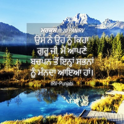 Picture 04 - ਮਰਕੁਸ 10:20 PANIRV - ਉਸ ਨੇ ਉਹ ਨੂੰ ਕਿਹਾ, - Bible Verse Picture