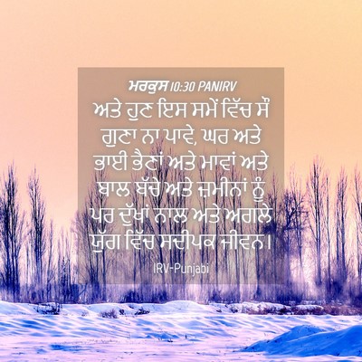 Picture 04 - ਮਰਕੁਸ 10:30 PANIRV - ਅਤੇ ਹੁਣ ਇਸ ਸਮੇਂ - Bible Verse Picture