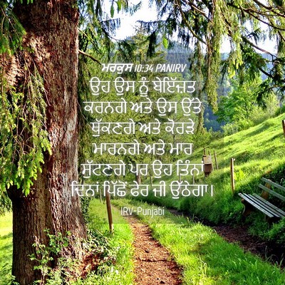 Picture 04 - ਮਰਕੁਸ 10:34 PANIRV - ਉਹ ਉਸ ਨੂੰ ਬੇਇੱਜ਼ਤ - Bible Verse Picture