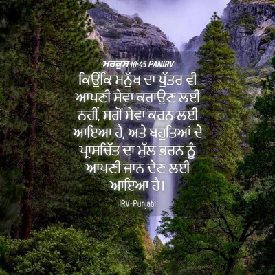 Picture 04 - ਮਰਕੁਸ 10:45 PANIRV - ਕਿਉਂਕਿ ਮਨੁੱਖ ਦਾ - Bible Verse Picture