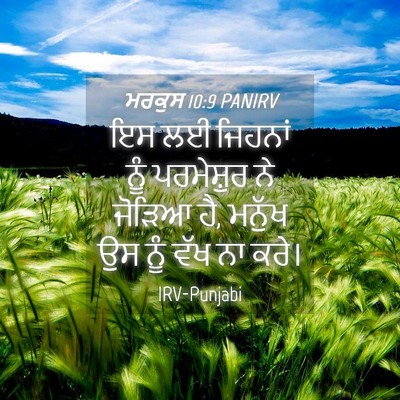 Picture 04 - ਮਰਕੁਸ 10:9 PANIRV - ਇਸ ਲਈ ਜਿਹਨਾਂ ਨੂੰ - Bible Verse Picture