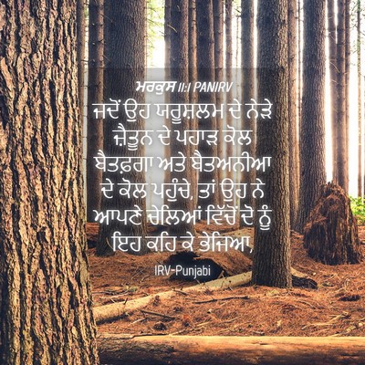 Picture 04 - ਮਰਕੁਸ 11:1 PANIRV - ਜਦੋਂ ਉਹ ਯਰੂਸ਼ਲਮ ਦੇ - Bible Verse Picture