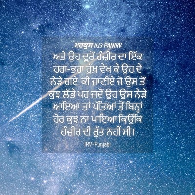 Picture 04 - ਮਰਕੁਸ 11:13 PANIRV - ਅਤੇ ਉਹ ਦੂਰੋਂ - Bible Verse Picture