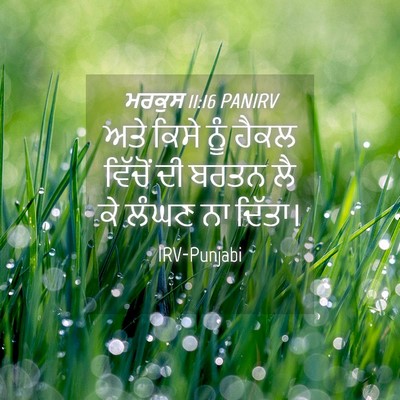 Picture 04 - ਮਰਕੁਸ 11:16 PANIRV - ਅਤੇ ਕਿਸੇ ਨੂੰ ਹੈਕਲ - Bible Verse Picture