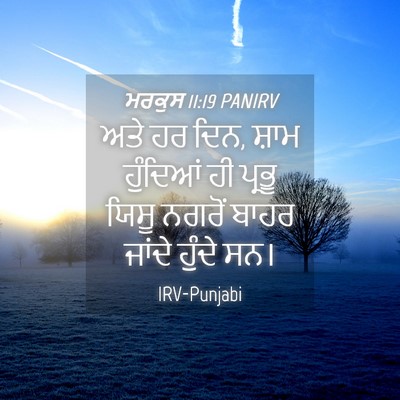Picture 04 - ਮਰਕੁਸ 11:19 PANIRV - ਅਤੇ ਹਰ ਦਿਨ, ਸ਼ਾਮ - Bible Verse Picture