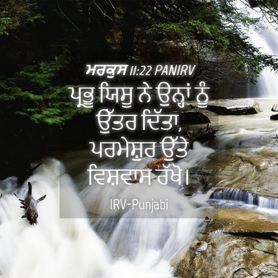 Picture 04 - ਮਰਕੁਸ 11:22 PANIRV - ਪ੍ਰਭੂ ਯਿਸੂ ਨੇ - Bible Verse Picture