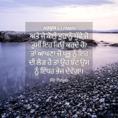 Picture 04 - ਮਰਕੁਸ 11:3 PANIRV - ਅਤੇ ਜੇ ਕੋਈ ਤੁਹਾਨੂੰ - Bible Verse Picture