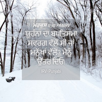 Picture 04 - ਮਰਕੁਸ 11:30 PANIRV - ਯੂਹੰਨਾ ਦਾ ਬਪਤਿਸਮਾ - Bible Verse Picture