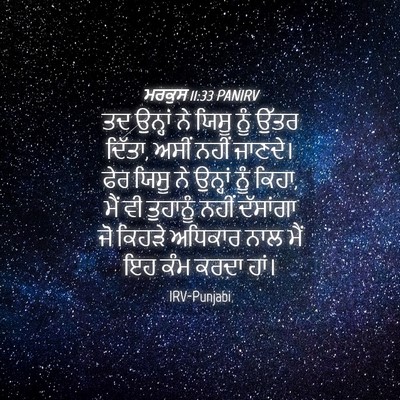Picture 04 - ਮਰਕੁਸ 11:33 PANIRV - ਤਦ ਉਨ੍ਹਾਂ ਨੇ ਯਿਸੂ - Bible Verse Picture