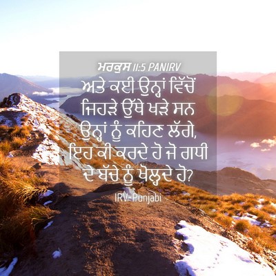 Picture 04 - ਮਰਕੁਸ 11:5 PANIRV - ਅਤੇ ਕਈ ਉਨ੍ਹਾਂ - Bible Verse Picture