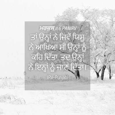 Picture 04 - ਮਰਕੁਸ 11:6 PANIRV - ਤਾਂ ਉਨ੍ਹਾਂ ਨੇ - Bible Verse Picture