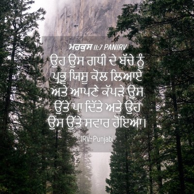 Picture 04 - ਮਰਕੁਸ 11:7 PANIRV - ਉਹ ਉਸ ਗਧੀ ਦੇ ਬੱਚੇ - Bible Verse Picture