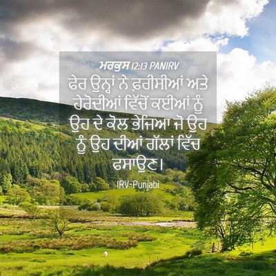 Picture 04 - ਮਰਕੁਸ 12:13 PANIRV - ਫੇਰ ਉਨ੍ਹਾਂ ਨੇ - Bible Verse Picture