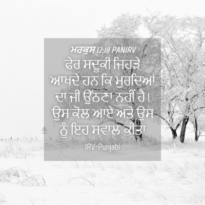 Picture 04 - ਮਰਕੁਸ 12:18 PANIRV - ਫੇਰ ਸਦੂਕੀ ਜਿਹੜੇ - Bible Verse Picture
