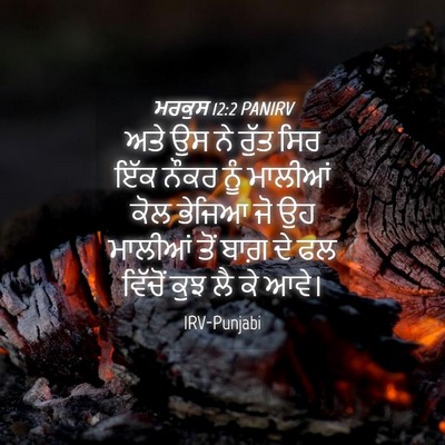 Picture 04 - ਮਰਕੁਸ 12:2 PANIRV - ਅਤੇ ਉਸ ਨੇ ਰੁੱਤ ਸਿਰ - Bible Verse Picture