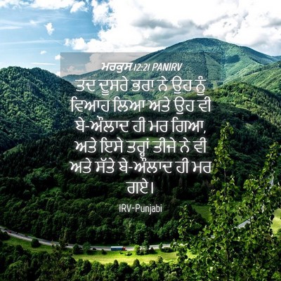 Picture 04 - ਮਰਕੁਸ 12:21 PANIRV - ਤਦ ਦੂਸਰੇ ਭਰਾ ਨੇ ਉਹ - Bible Verse Picture
