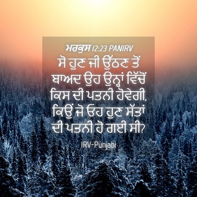Picture 04 - ਮਰਕੁਸ 12:23 PANIRV - ਸੋ ਹੁਣ ਜੀ ਉੱਠਣ ਤੋਂ - Bible Verse Picture