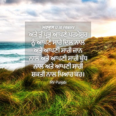 Picture 04 - ਮਰਕੁਸ 12:30 PANIRV - ਅਤੇ ਤੂੰ ਪ੍ਰਭੂ ਆਪਣੇ - Bible Verse Picture