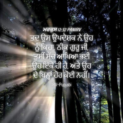 Picture 04 - ਮਰਕੁਸ 12:32 PANIRV - ਤਦ ਉਸ ਉਪਦੇਸ਼ਕ ਨੇ ਉਹ - Bible Verse Picture