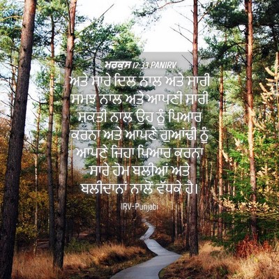 Picture 04 - ਮਰਕੁਸ 12:33 PANIRV - ਅਤੇ ਸਾਰੇ ਦਿਲ ਨਾਲ - Bible Verse Picture