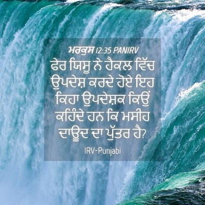 Picture 04 - ਮਰਕੁਸ 12:35 PANIRV - ਫੇਰ ਯਿਸੂ ਨੇ ਹੈਕਲ - Bible Verse Picture