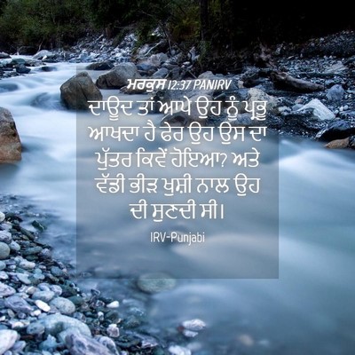 Picture 04 - ਮਰਕੁਸ 12:37 PANIRV - ਦਾਊਦ ਤਾਂ ਆਪੇ ਉਹ ਨੂੰ - Bible Verse Picture