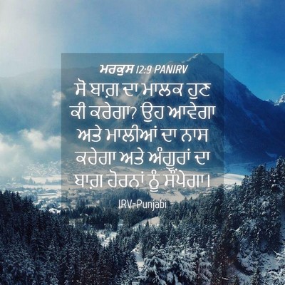 Picture 04 - ਮਰਕੁਸ 12:9 PANIRV - ਸੋ ਬਾਗ਼ ਦਾ ਮਾਲਕ ਹੁਣ - Bible Verse Picture