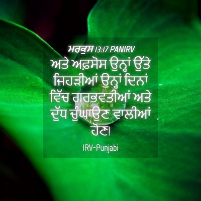 Picture 04 - ਮਰਕੁਸ 13:17 PANIRV - ਅਤੇ ਅਫ਼ਸੋਸ ਉਨ੍ਹਾਂ - Bible Verse Picture