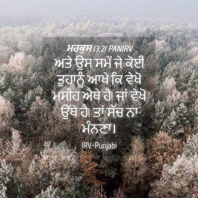 Picture 04 - ਮਰਕੁਸ 13:21 PANIRV - ਅਤੇ ਉਸ ਸਮੇਂ ਜੇ ਕੋਈ - Bible Verse Picture