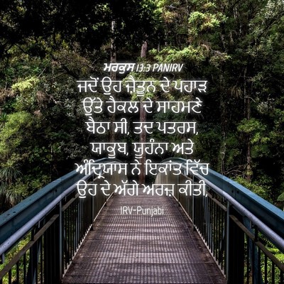 Picture 04 - ਮਰਕੁਸ 13:3 PANIRV - ਜਦੋਂ ਉਹ ਜ਼ੈਤੂਨ ਦੇ - Bible Verse Picture