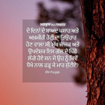 Picture 04 - ਮਰਕੁਸ 14:1 PANIRV - ਦੋ ਦਿਨਾਂ ਦੇ ਬਾਅਦ - Bible Verse Picture