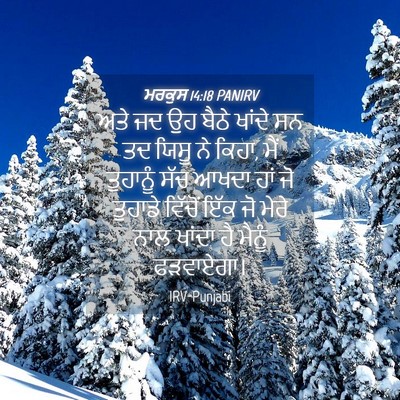 Picture 04 - ਮਰਕੁਸ 14:18 PANIRV - ਅਤੇ ਜਦ ਉਹ ਬੈਠੇ - Bible Verse Picture