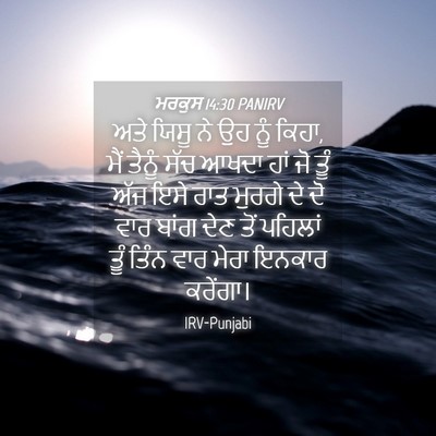 Picture 04 - ਮਰਕੁਸ 14:30 PANIRV - ਅਤੇ ਯਿਸੂ ਨੇ ਉਹ ਨੂੰ - Bible Verse Picture