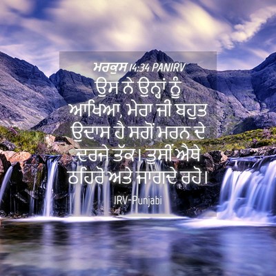 Picture 04 - ਮਰਕੁਸ 14:34 PANIRV - ਉਸ ਨੇ ਉਨ੍ਹਾਂ ਨੂੰ - Bible Verse Picture