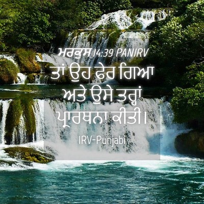 Picture 04 - ਮਰਕੁਸ 14:39 PANIRV - ਤਾਂ ਉਹ ਫੇਰ ਗਿਆ ਅਤੇ - Bible Verse Picture