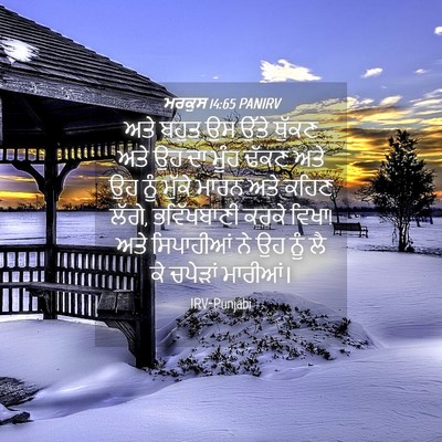 Picture 04 - ਮਰਕੁਸ 14:65 PANIRV - ਅਤੇ ਬਹੁਤ ਉਸ ਉੱਤੇ - Bible Verse Picture