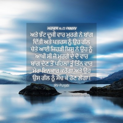 Picture 04 - ਮਰਕੁਸ 14:72 PANIRV - ਅਤੇ ਝੱਟ ਦੂਜੀ ਵਾਰ - Bible Verse Picture