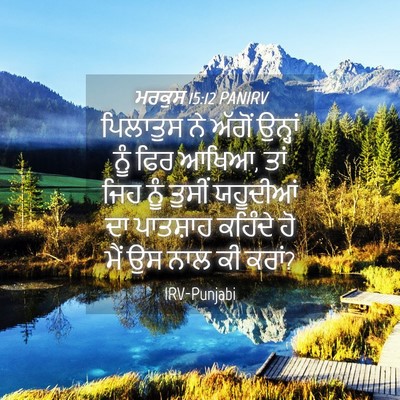 Picture 04 - ਮਰਕੁਸ 15:12 PANIRV - ਪਿਲਾਤੁਸ ਨੇ ਅੱਗੋਂ - Bible Verse Picture
