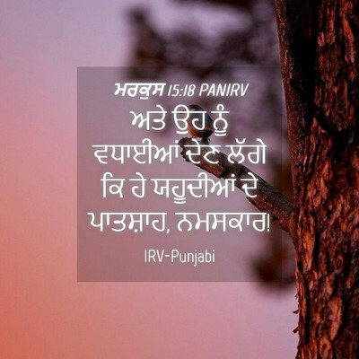 Picture 04 - ਮਰਕੁਸ 15:18 PANIRV - ਅਤੇ ਉਹ ਨੂੰ ਵਧਾਈਆਂ - Bible Verse Picture