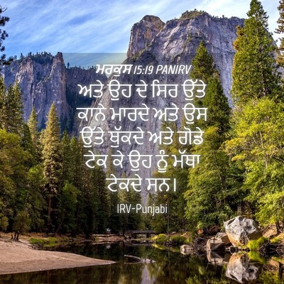 Picture 04 - ਮਰਕੁਸ 15:19 PANIRV - ਅਤੇ ਉਹ ਦੇ ਸਿਰ ਉੱਤੇ - Bible Verse Picture